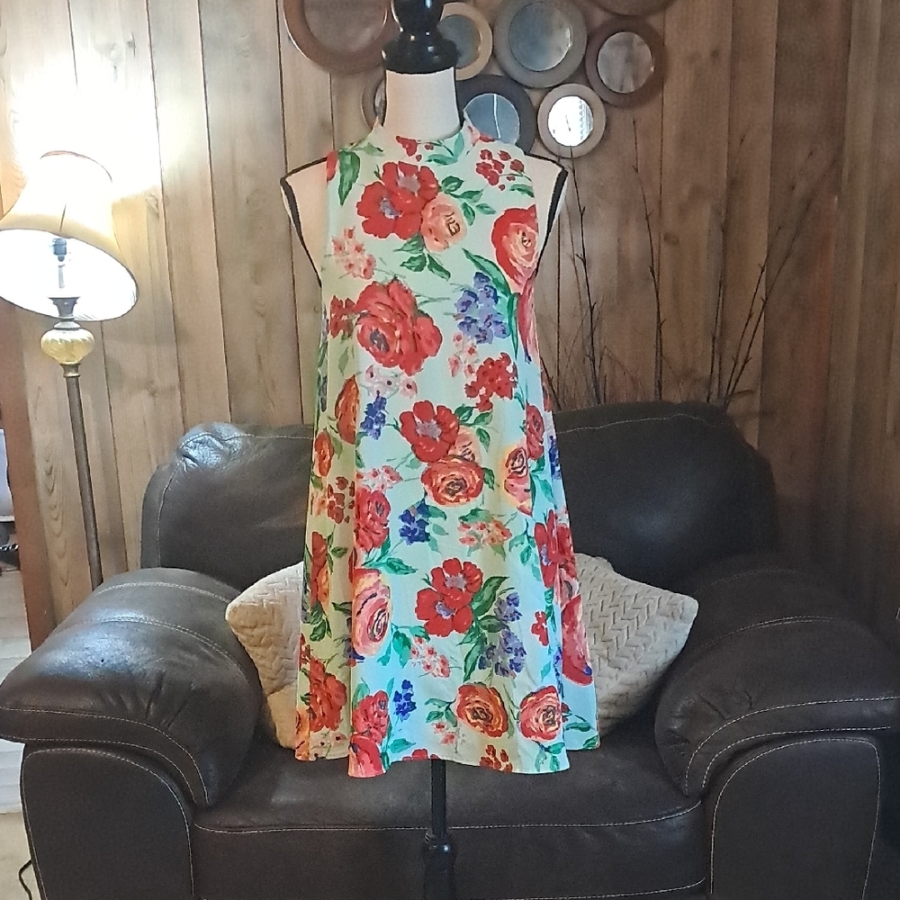Everly Mint Floral Sleeveless A-Line Dress Red Flowers Garden Wedding Guest